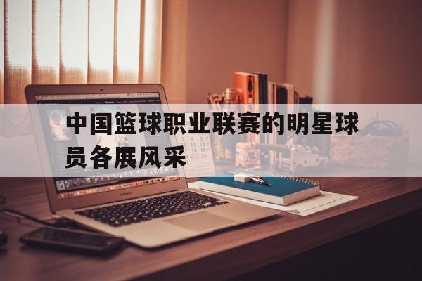 中国篮球职业联赛的明星球员各展风采()